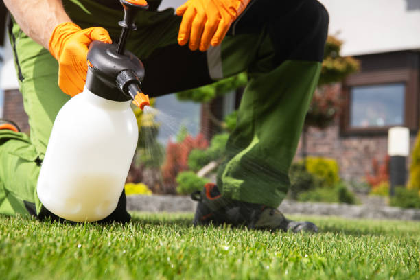 Best Pest Prevention Services  in Apple Valley, CA