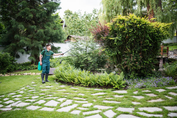 Best Pest Prevention Services  in Apple Valley, CA