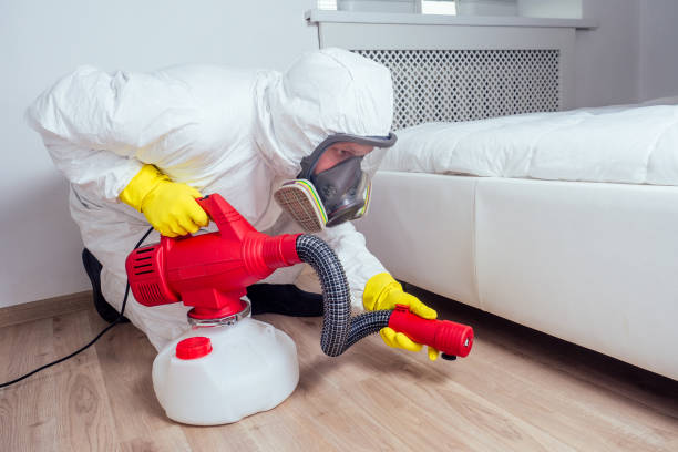 Best Local Pest Control Services  in Apple Valley, CA