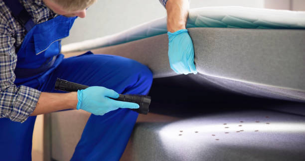 Best Pest Control Near Me  in Apple Valley, CA