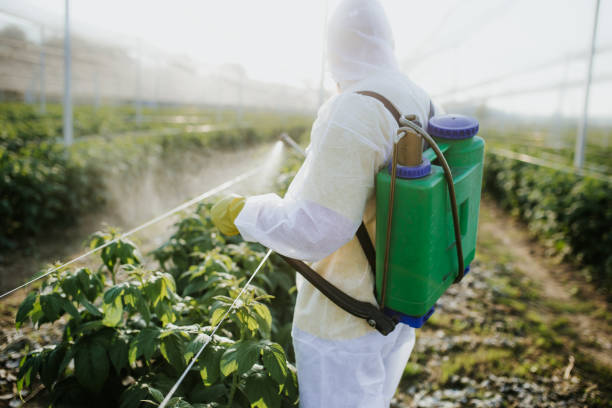 Professional Pest Control in Apple Valley, CA